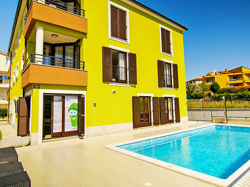 Suncokret