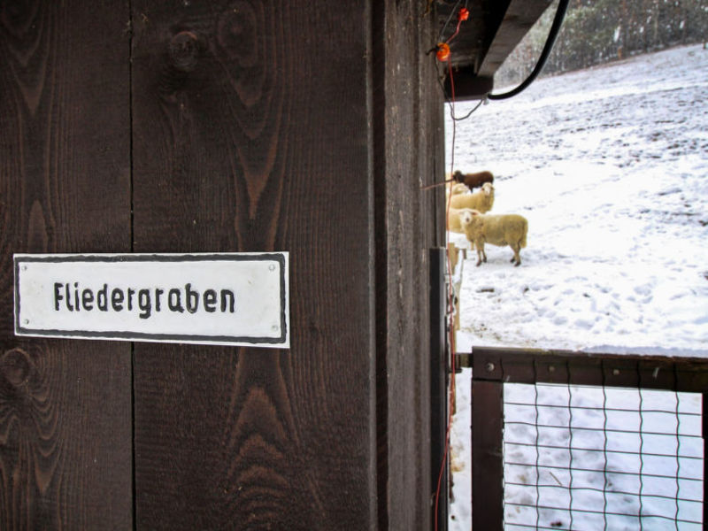 Feichtinger