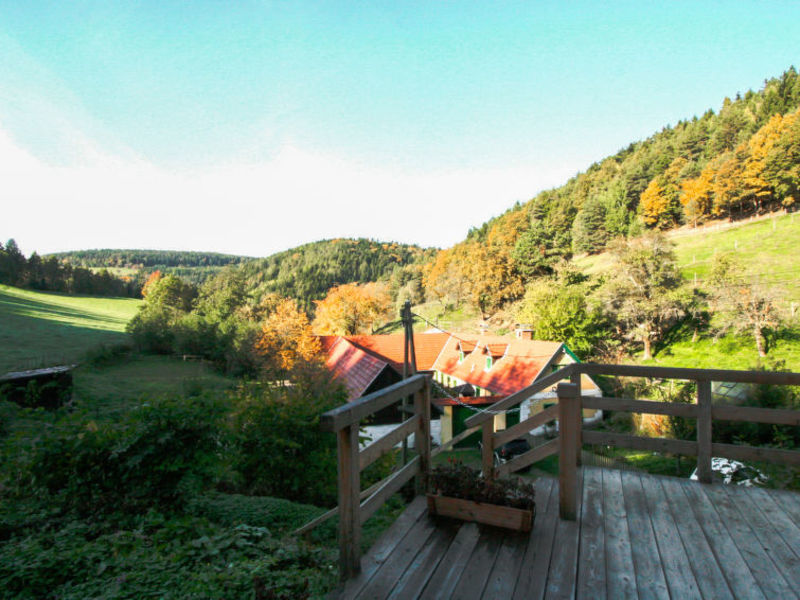 Feichtinger