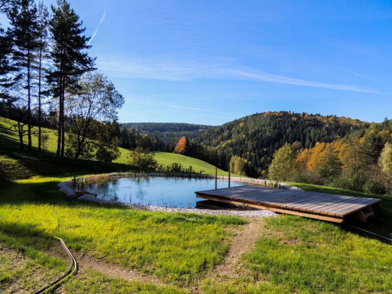 Feichtinger