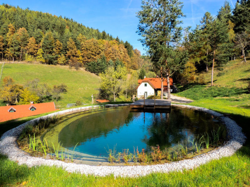 Feichtinger