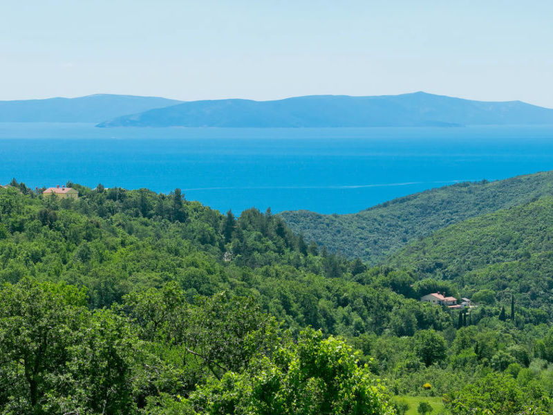 Panorama 2