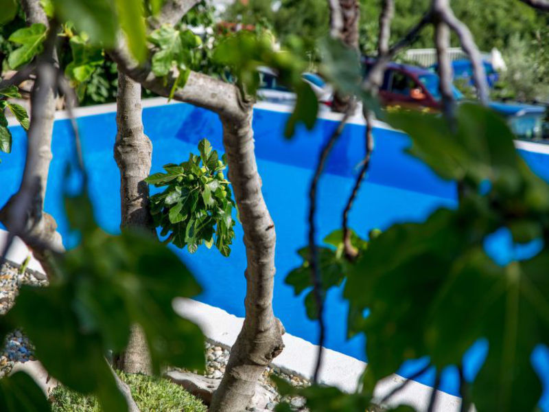 Organic Gardens Villa