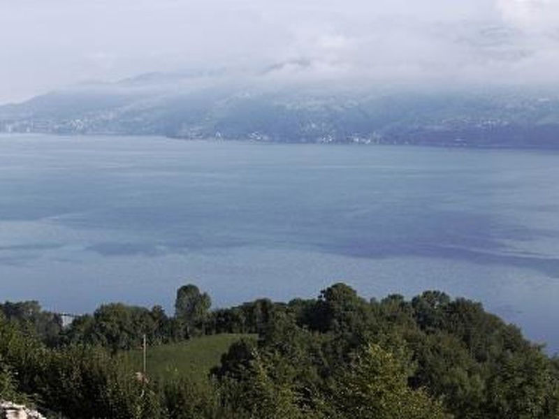 Panoramaferienwohnung Waldkircher