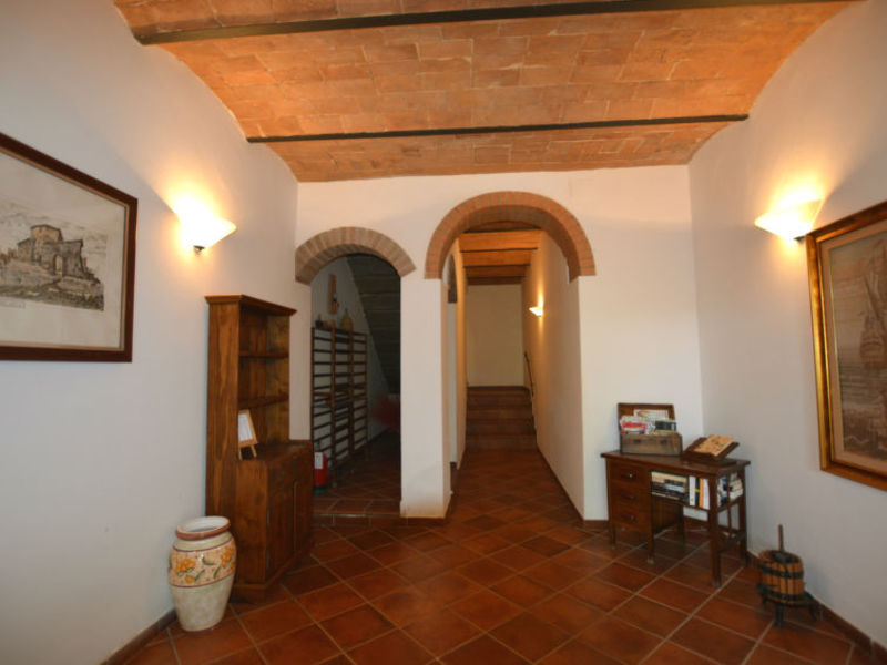Edera & Tulipano