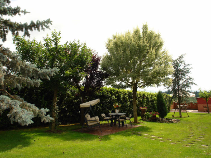 Edera & Tulipano