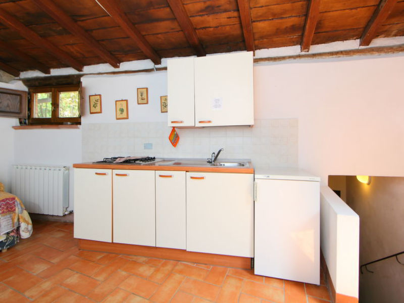 La Colomba N°4