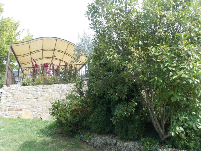 Asinello