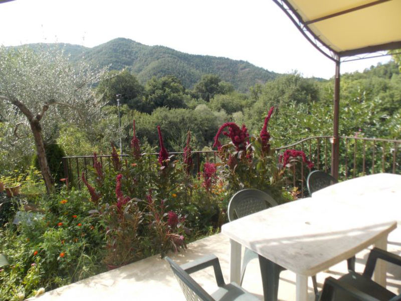 Asinello