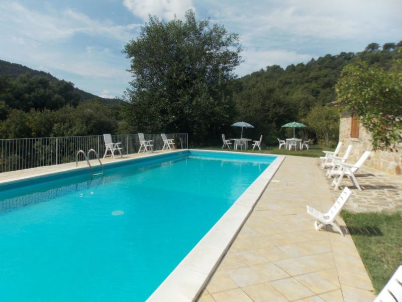 Asinello