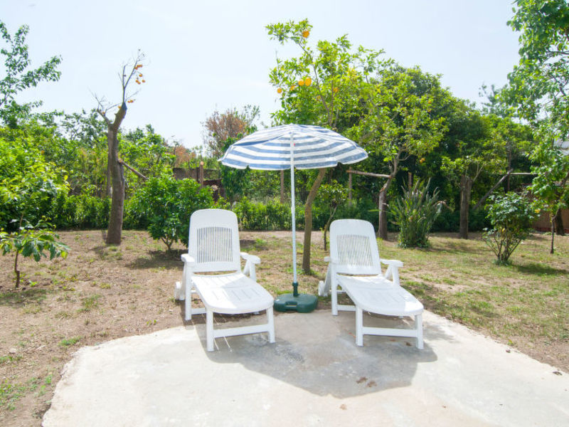 Sweet Garden