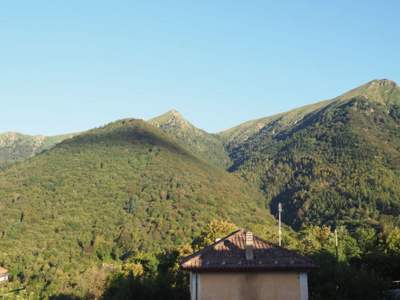 Casa Leone