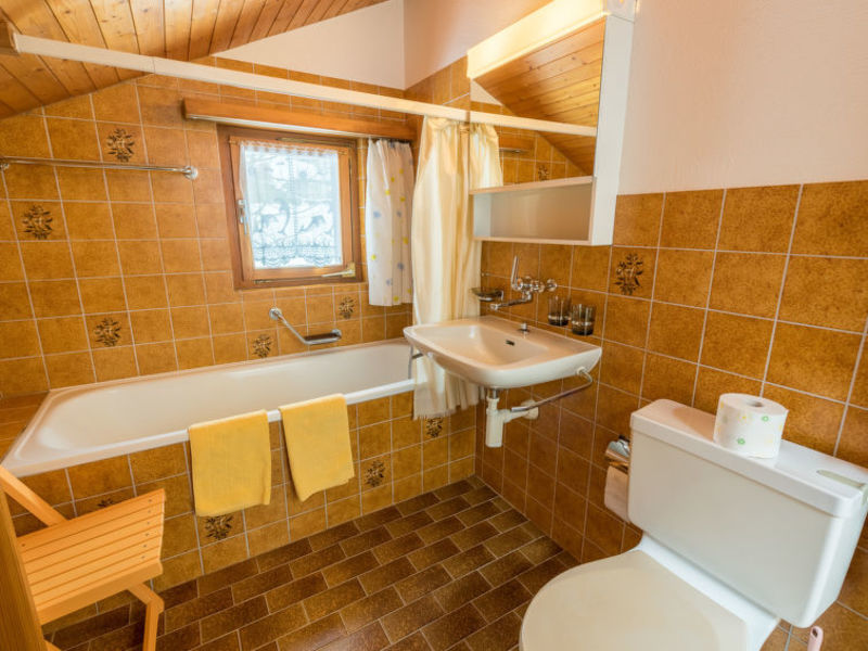 Ferienwohnung Spineus Dado Schmitt Brigels