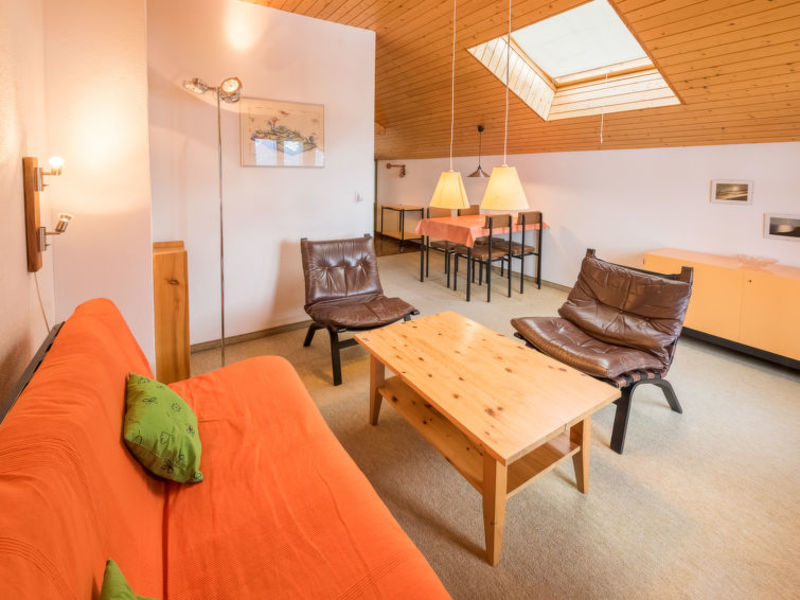 Ferienwohnung Spineus Dado Schmitt Brigels