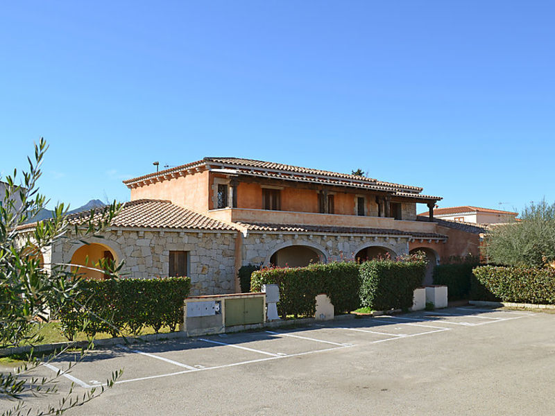 Quadri Vela