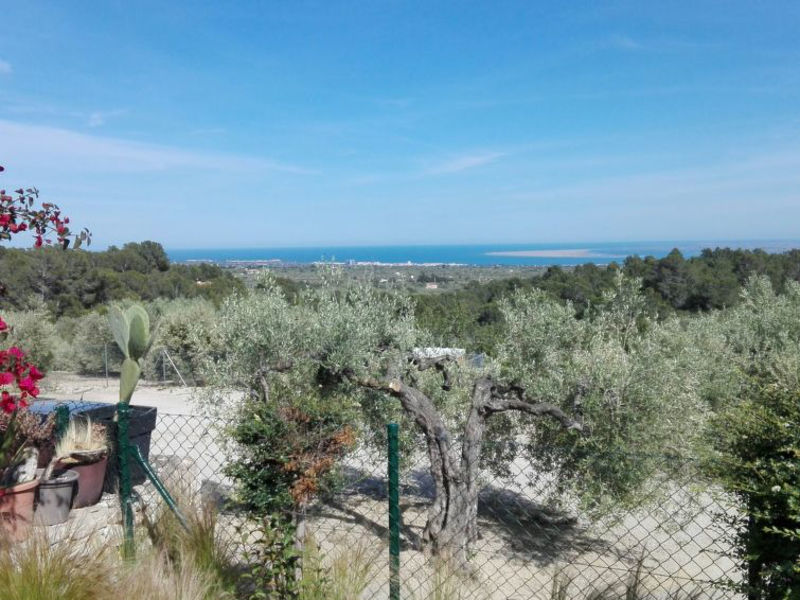 Villa Delta Ebre