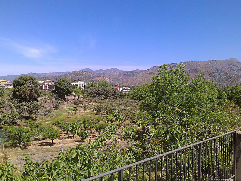 A Livara