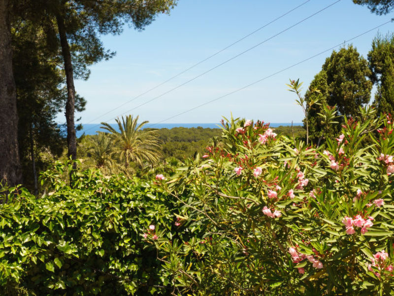 La Cala Che