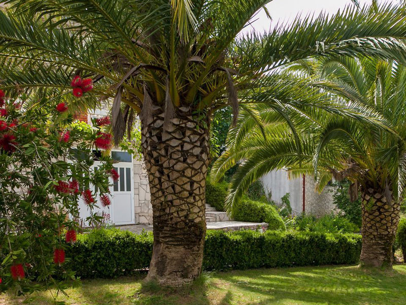 Apartmány Almir