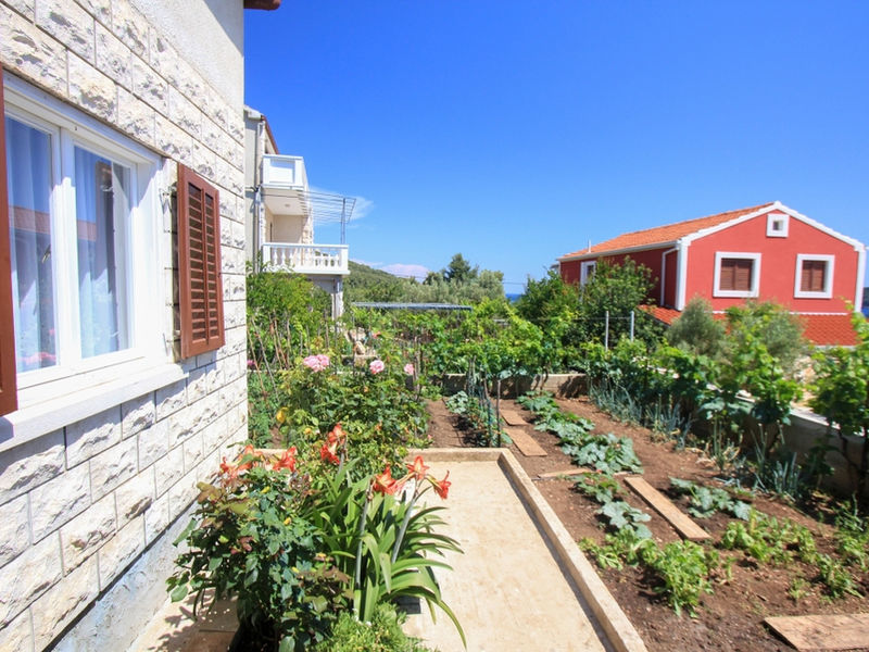 Apartmán Roksana