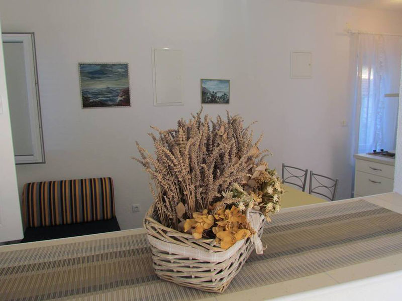 Apartmány 1563-58