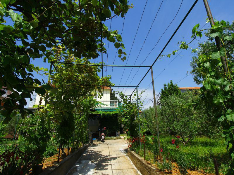 Apartmán Grapiana