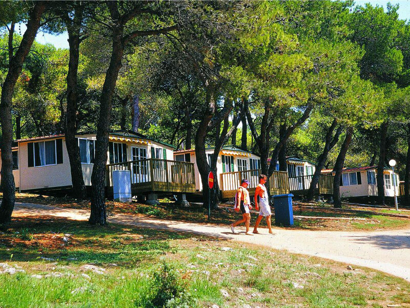 Camp Stoja