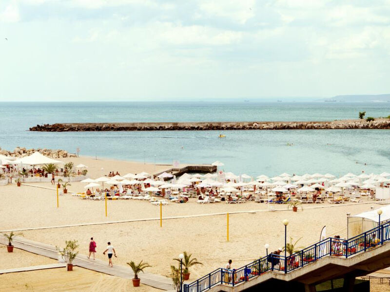 Dolphin Marina