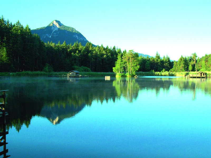 Waldsee