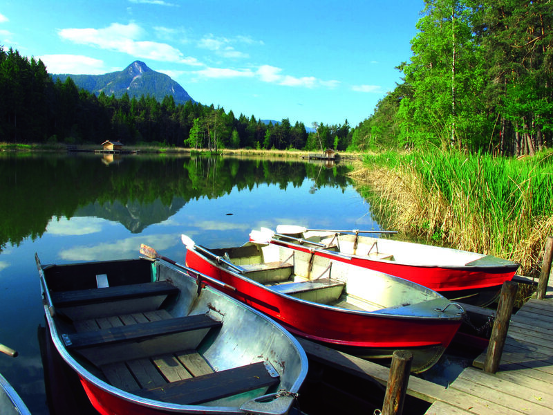Waldsee