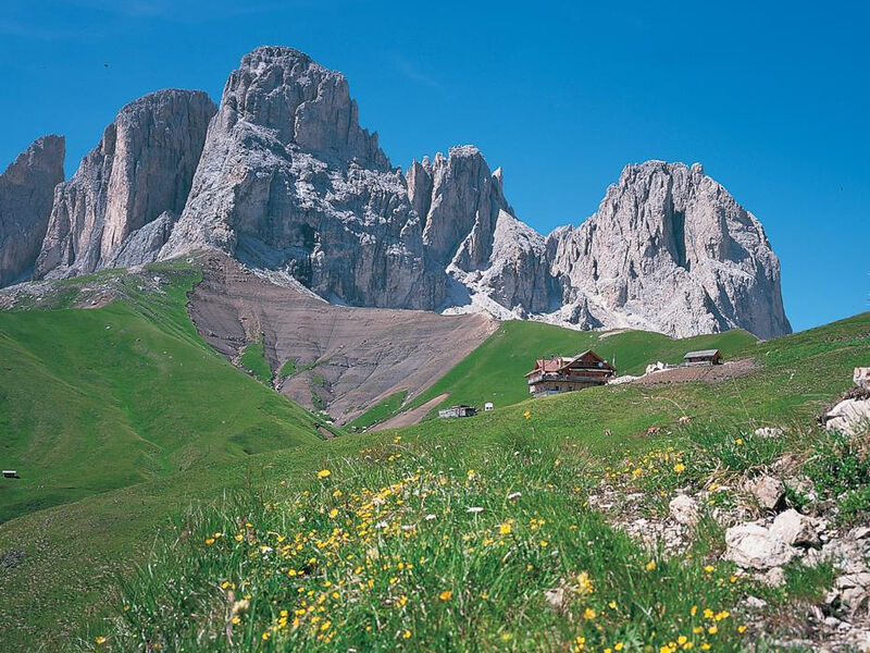 Berghaus Friedrich August
