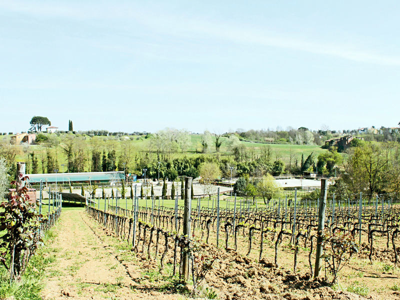 Agrihotel Corte Benedetto