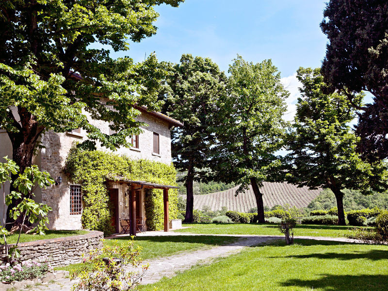 Fonte de` Medici