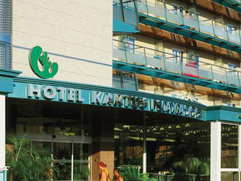 Kaktus Playa