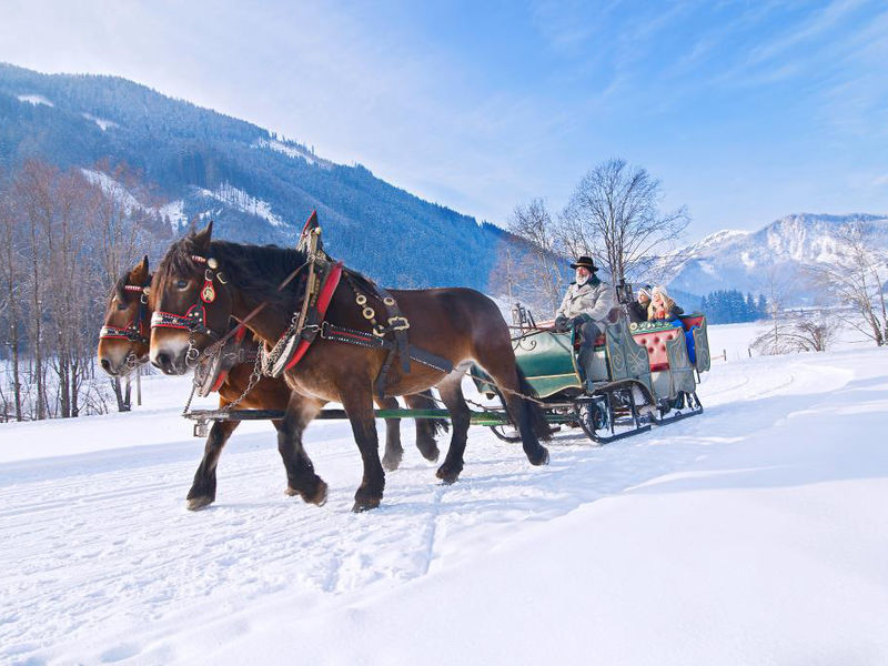 Almdorf Homes