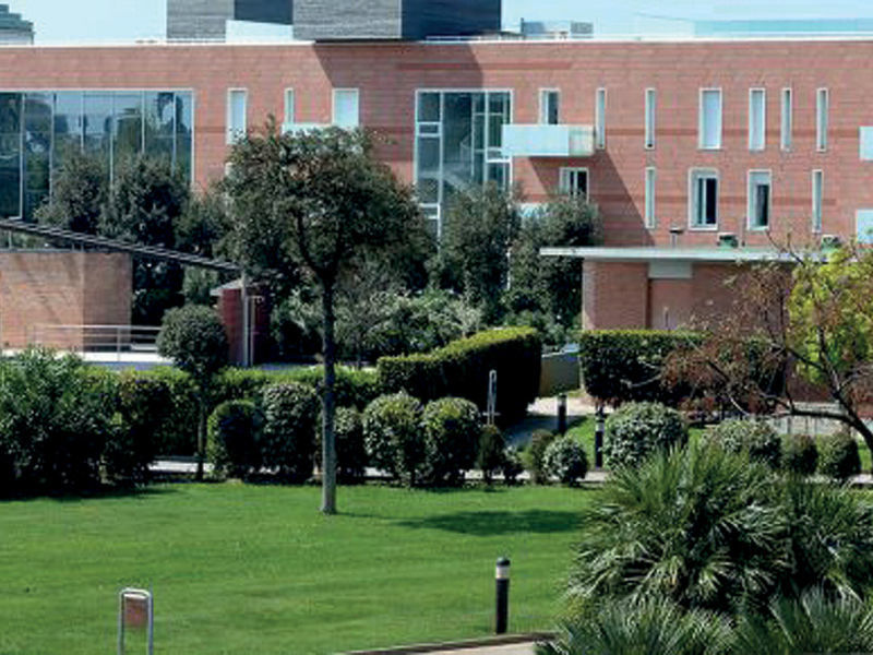 Green Park Resort