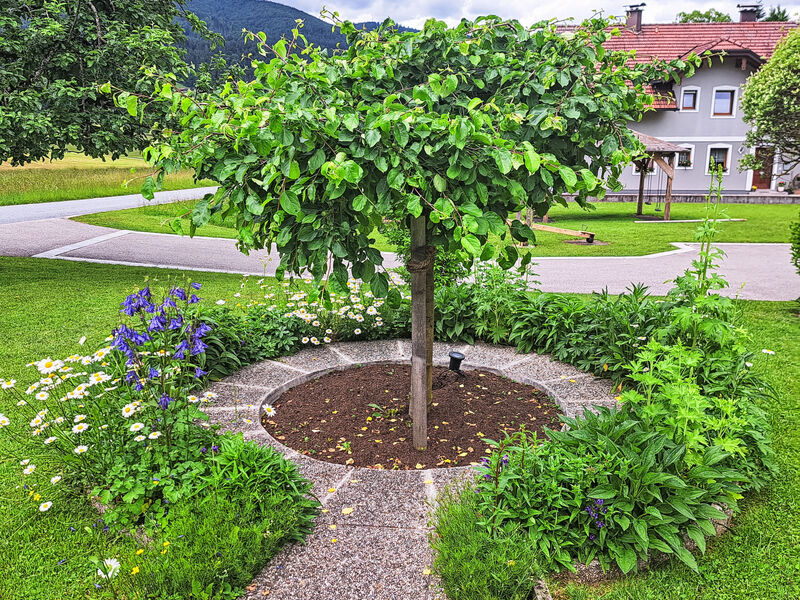 Pokoj 1