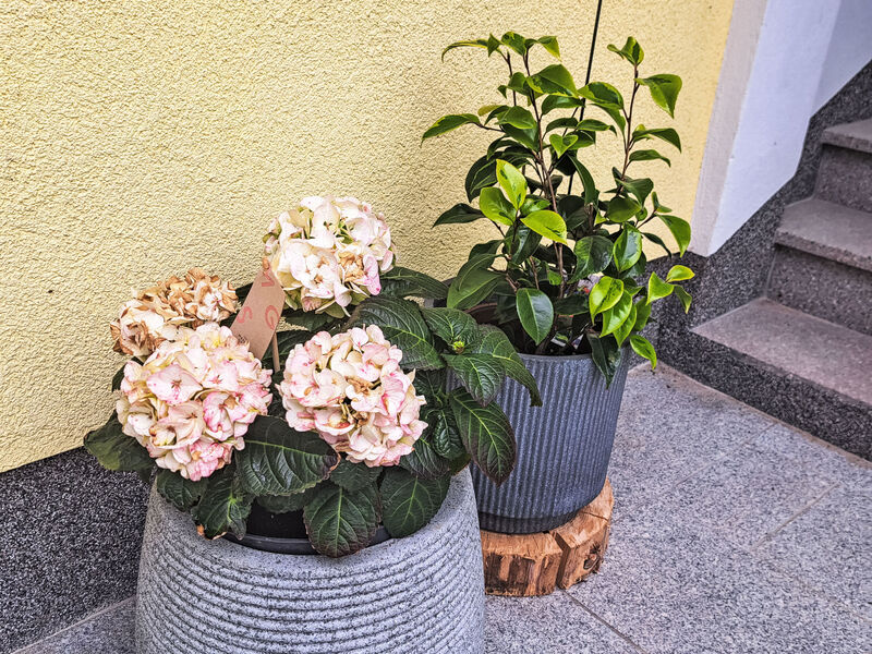 Pokoj 2