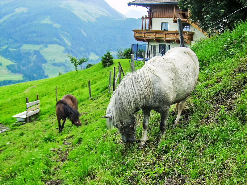 Pokoj 1
