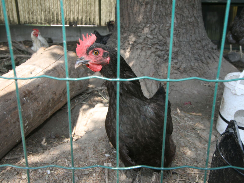 Pokoj 1