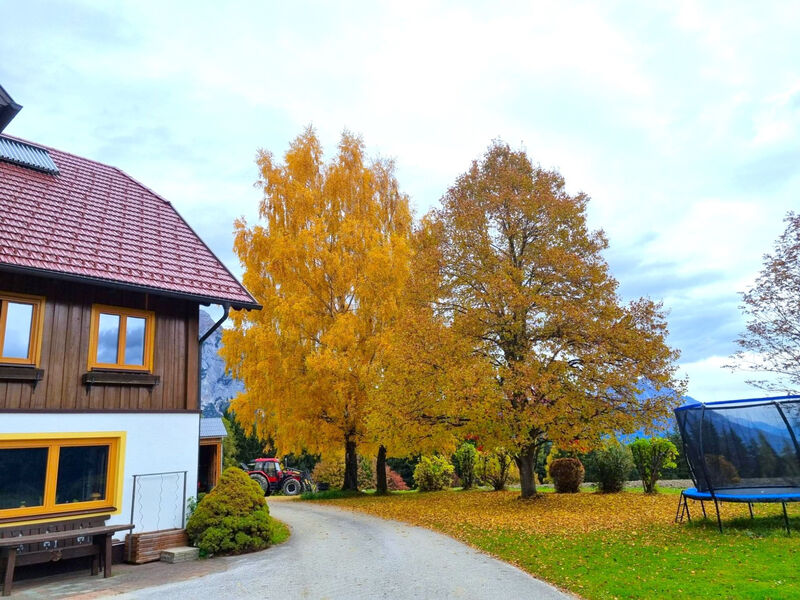 Pokoj 1