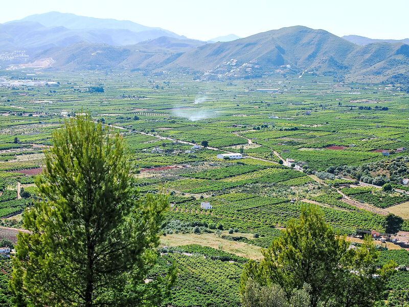 Pokoj 1