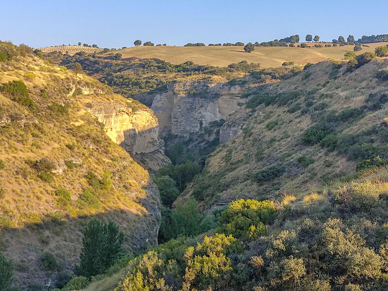 Pokoj 1