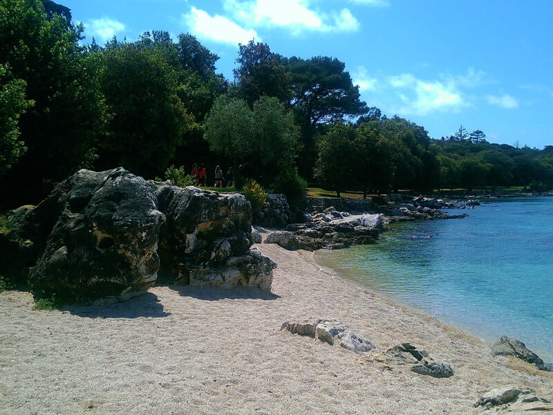 Pokoj 1