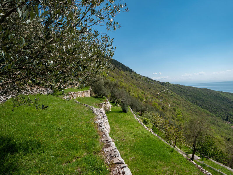 Pokoj 1