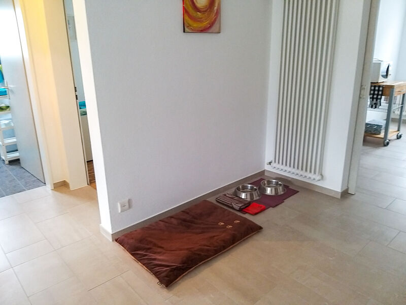 Pokoj 1