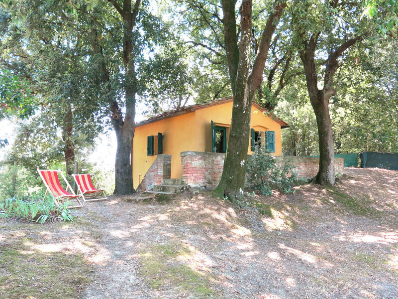 Pokoj 6