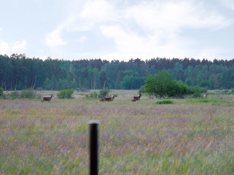 Pokoj 1