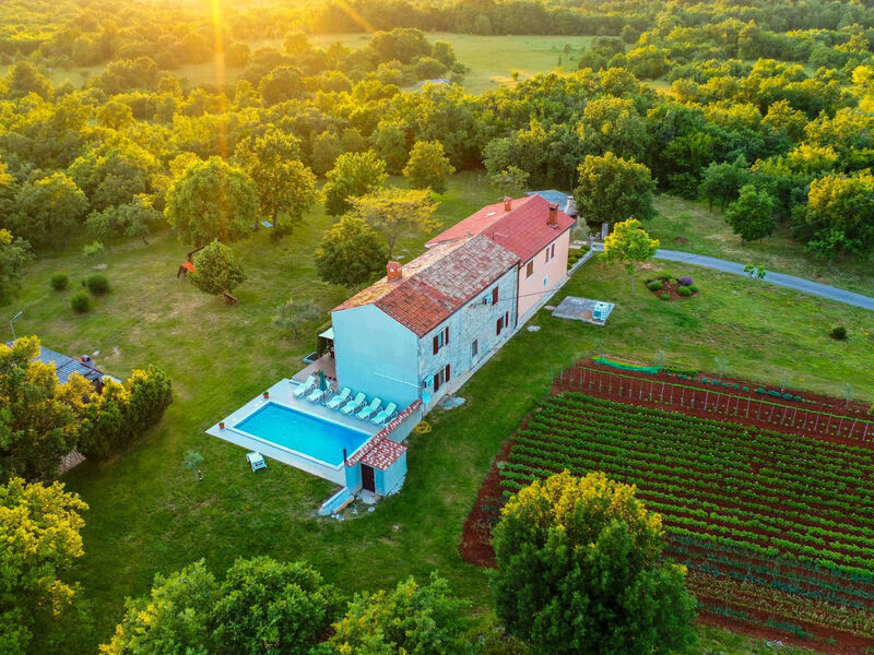 Pokoj 1