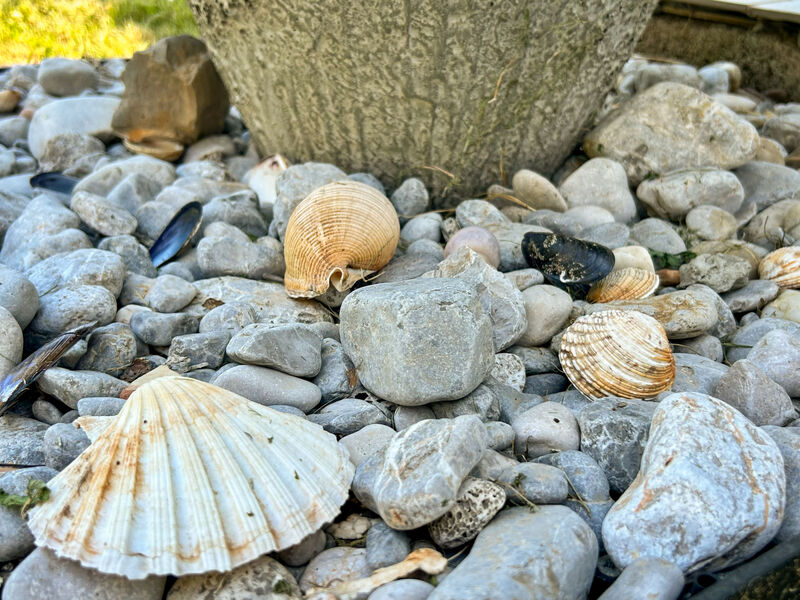 Pokoj 2